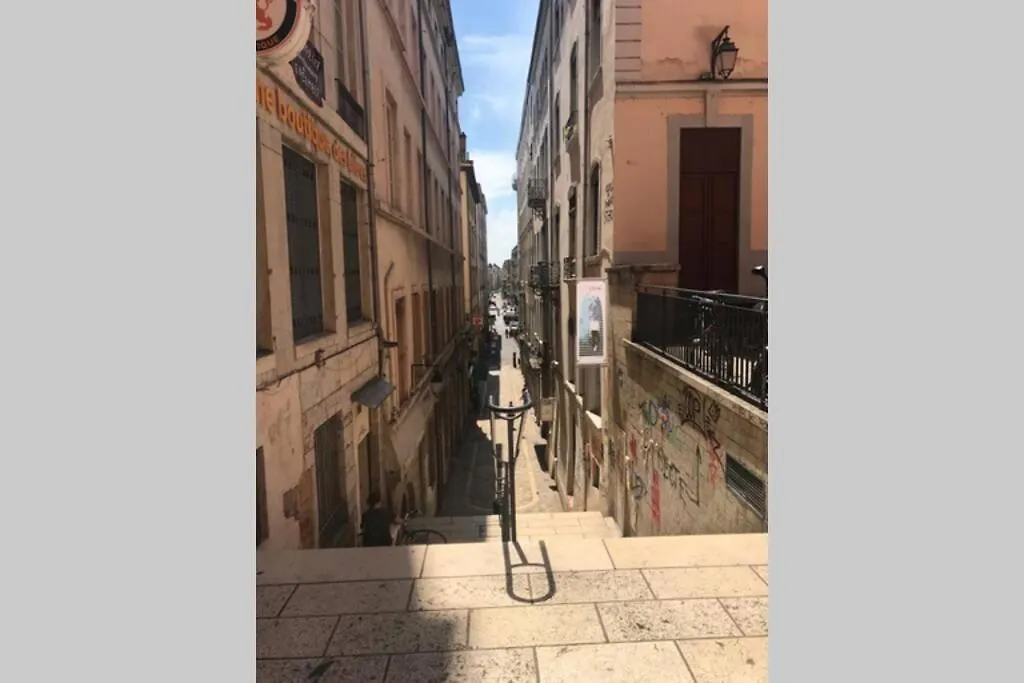 Appartement Entier - Refait A Neuf - Loft - City Center Lyon 0*,  France