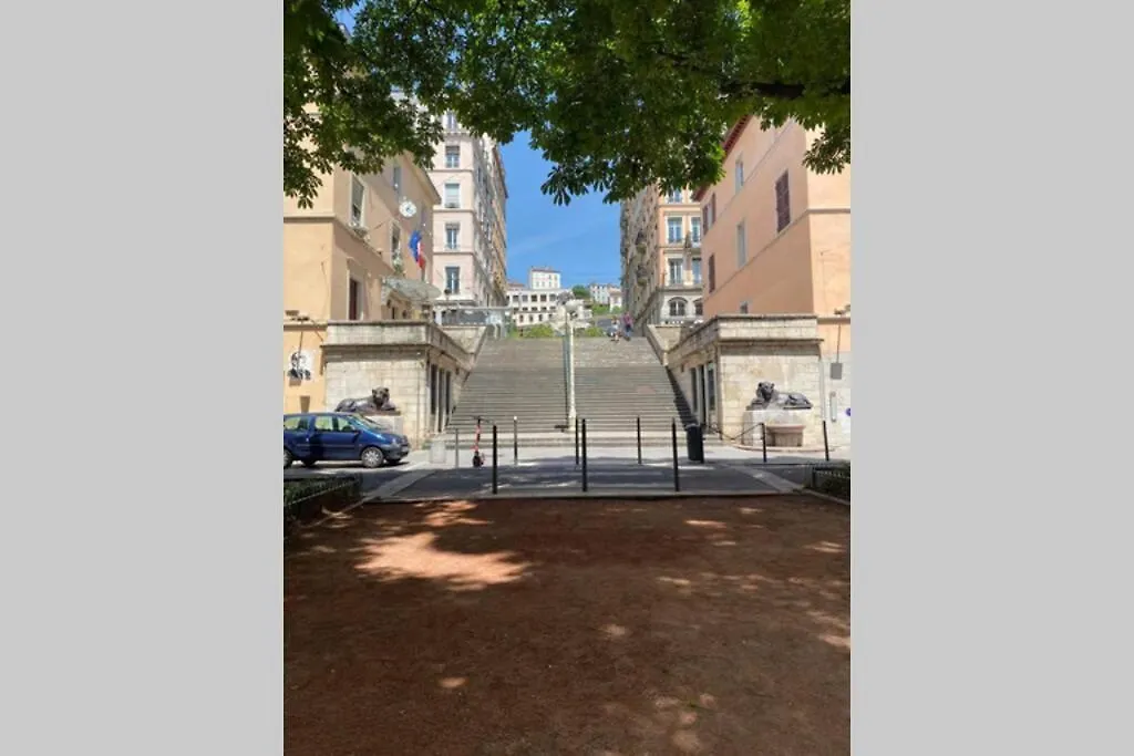 Apartment Appartement Entier - Refait A Neuf - Loft - City Center Lyon France