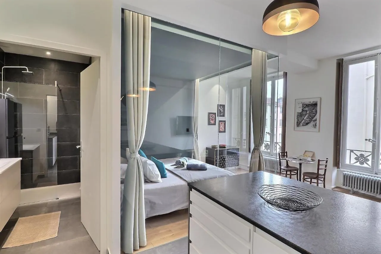 Appartement Entier - Refait A Neuf - Loft - City Center Lyon France